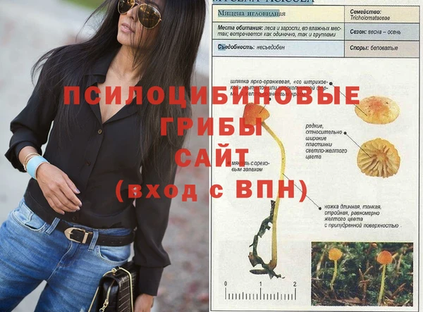 гидра Волоколамск