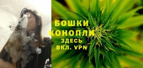 гидра Волоколамск