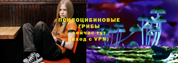 гидра Волоколамск